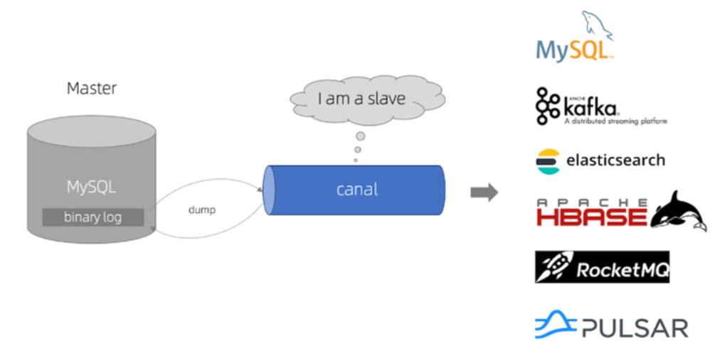 image-20230313011452567