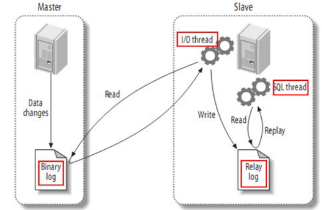 image-20230313011354436