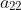 a_{22}