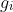 g_{i}